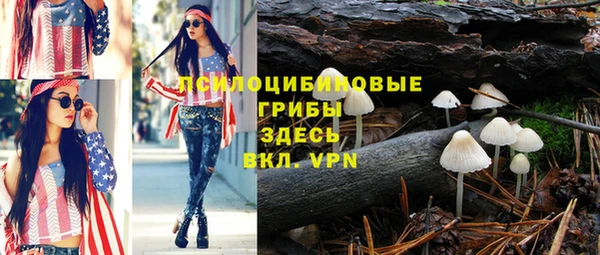 метадон Козельск
