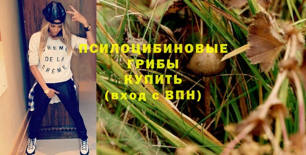 метадон Козельск