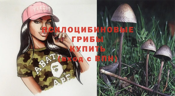 метадон Козельск