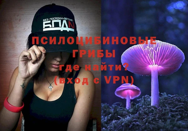 ALPHA PVP Кинешма