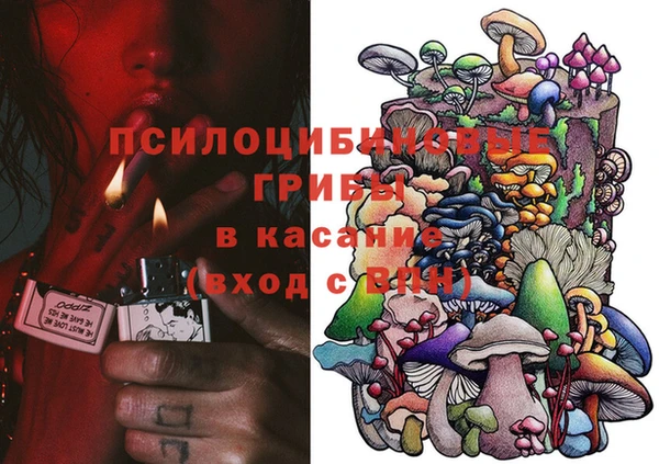 ГАЛЛЮЦИНОГЕННЫЕ ГРИБЫ Кодинск