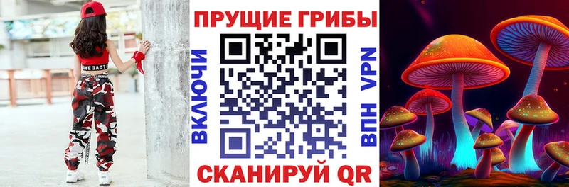Псилоцибиновые грибы MAGIC MUSHROOMS  Купить закладки  Терек 